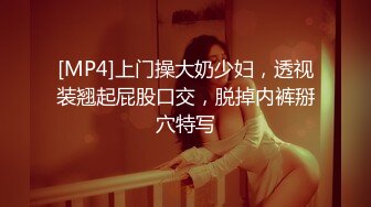 [MP4]上门操大奶少妇，透视装翘起屁股口交，脱掉内裤掰穴特写