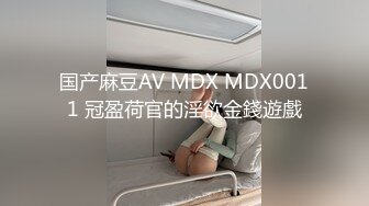 国产麻豆AV MDX MDX0011 冠盈荷官的淫欲金錢遊戲