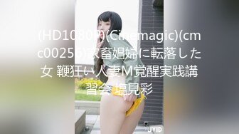 (HD1080P)(Cinemagic)(cmc00256)家畜娼婦に転落した女 鞭狂い人妻M覚醒実践講習会 塩見彩