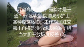 新来的女仆（2）