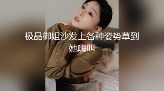 极品御姐沙发上各种姿势草到她嗨叫