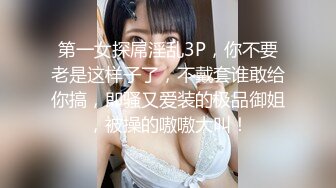 赵总极品寻花长相甜美小姐姐，满背纹身69姿势口交舔逼