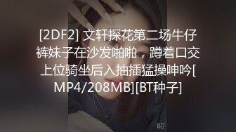 [2DF2] 文轩探花第二场牛仔裤妹子在沙发啪啪，蹲着口交上位骑坐后入抽插猛操呻吟[MP4/208MB][BT种子]