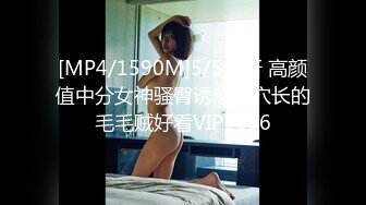 [MP4/891MB]麻豆傳媒 兔子先生監制 TZ075 中秋團圓人奸情 上篇 绫波麗