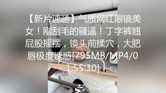 -极品00后大胸小母狗做爱自拍呻吟诱人最新4部 (4)