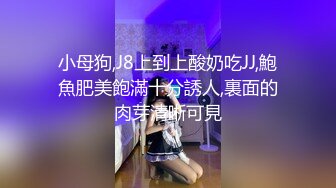 STP33612 糖心Vlog 鞭打乳夹惩罚黑丝荡女 情深叉喔