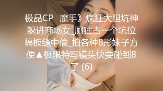 极品CP✅魔手》疯狂大胆坑神躲进商场女_厕独占一个坑位隔板缝中偸_拍各种B形妹子方便▲极限特写镜头快要碰到B了 (6)