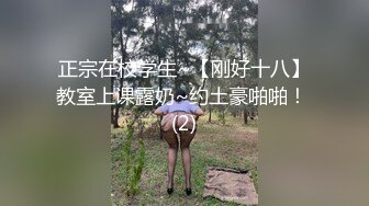 Onlyfans超正巨乳苗条正妹palida收费福利极品S级人瘦奶大 (1)