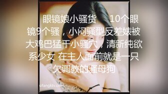 jvid jv-1 乖乖女淫乱室友道德崩坏-雅捷、茶理