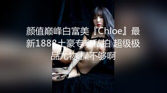 商场女厕小手电补光偷拍多位美女小姐姐的肥美嫩鲍鱼 (1)