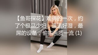 极品流出推特ghs巨乳女神▌沉沦的猫 ▌大尺度私拍 摄影师侃油掏出肉棒潜规则 天台调教露出写真 174P3V