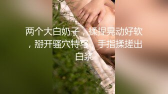 第二次3P骚母狗 各种体位被操还要吃着鸡吧