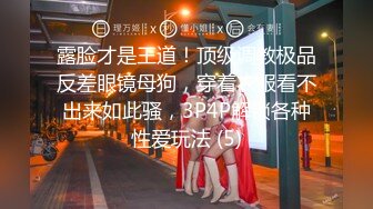 推特21万粉极品美少女潮吹萝莉公主【兔崽爱喷水】私拍④，边走边插边喷，可盐可甜人前户外露出道具紫薇胜过金秘书