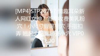 [MP4]STP26757 情趣耳朵新人网红女神！首次收费美乳粉穴！小尺寸假屌插穴 手指扣弄 翘起大肥臀掰开小穴 VIP0600