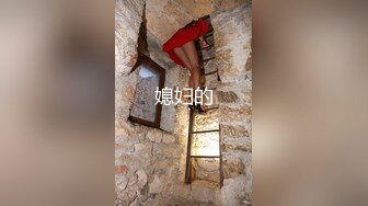 [MP4]麻豆传媒《骚妻的周年礼物》前后夹击 疯狂双飞大战 齐操双女神