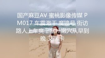 国产麻豆AV 蜜桃影像传媒 PM017 车震激干 魔镜号 街访路人上车爽干蜜汁嫩穴从早到晚 艾瑞卡