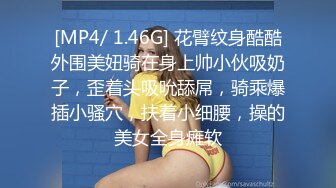 欧美3老女人和光头佬