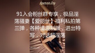 91入会粉丝群专享，极品淫荡骚妻【爱丽丝】福利私拍第三弹，各种情趣制服，进出特写，对话超淫荡