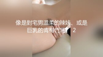 像是對宅男溫柔的辣妹、或是巨乳的青梅竹馬。 2