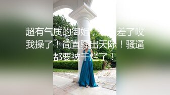 车震 天津小少妇