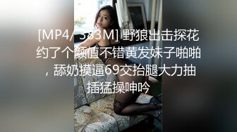 [MP4/ 383M] 野狼出击探花约了个颜值不错黄发妹子啪啪，舔奶摸逼69交抬腿大力抽插猛操呻吟