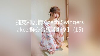 捷克神剧情.Czech Swingersakce.群交合集【40V】 (15)