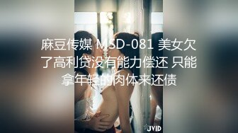 回归：在上海的前奏