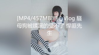 [MP4/457MB]糖心Vlog 騷母狗被蹂躏的受不了 悍匪先生