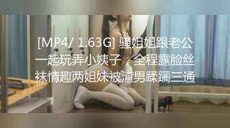 [MP4/ 1.63G] 骚姐姐跟老公一起玩弄小姨子，全程露脸丝袜情趣两姐妹被渣男蹂躏三通