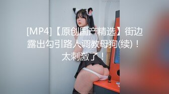 -小伙出差找个有点腼腆的良家小少妇“可以摸我的乳头吗”对白有点逗