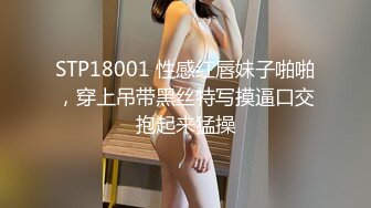 STP18001 性感红唇妹子啪啪，穿上吊带黑丝特写摸逼口交抱起来猛操