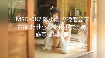 MSD-087.陈小雨.今晚老公不在家.粗壮小叔令我小穴湿溽.麻豆传媒映画