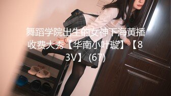 舞蹈学院出生的女神下海黄播收费大秀【华南小叶璇】【83V】 (67)