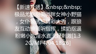 OnlyFans推特网红博主⭐️Boeingg波音姐⭐️巨乳肥臀极品身材反差婊 谁能拒绝每天性瘾急不