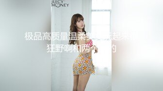 [FHD/8.57G]ABP-886 品味AV界首屈一指的偶像级容貌 野々浦暖【BVPP】