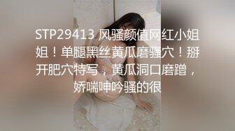 STP29413 风骚颜值网红小姐姐！单腿黑丝黄瓜磨骚穴！掰开肥穴特写，黄瓜洞口磨蹭，娇喘呻吟骚的很