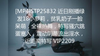 STP24942 深夜约操骚女，撩起衣服掏出奶子舔，伸进内裤摸穴，转战床上舔屌口交，大屁股骑乘爆插