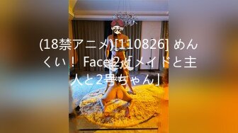 (18禁アニメ)[110826] めんくい！ Face.2「メイドと主人と2号ちゃん」