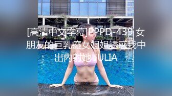 [高清中文字幕]PPPD-439 女朋友的巨乳癡女姐姐誘惑我中出內射她 JULIA