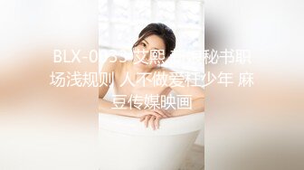 -三哥东北探花选秀气质长发美女酒店开房啪啪